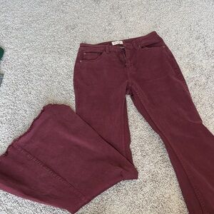 Shyanne Maroon Boot Cut Pants